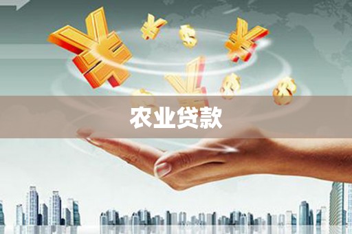 宁波农业贷款