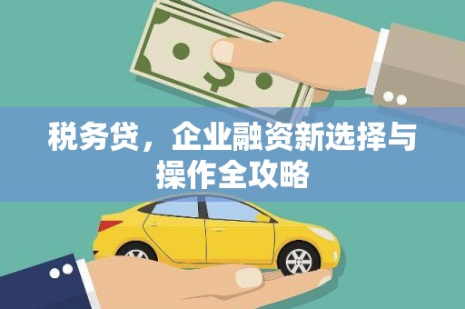 宁波税务贷，企业融资新选择与操作全攻略