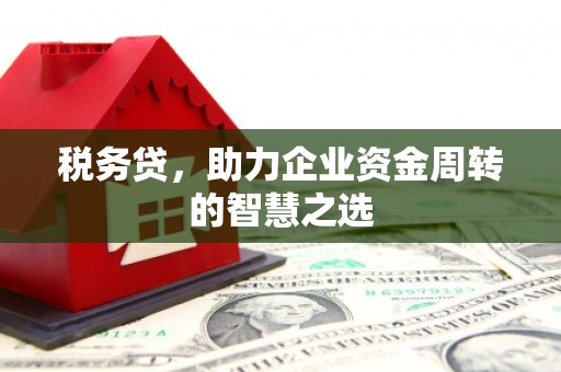 宁波税务贷，助力企业资金周转的智慧之选