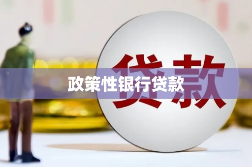 宁波政策性银行贷款