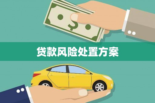 宁波贷款风险处置方案