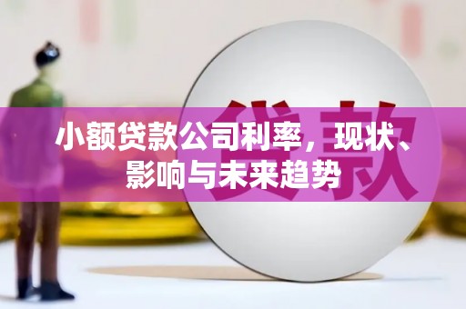 宁波小额贷款公司利率，现状、影响与未来趋势