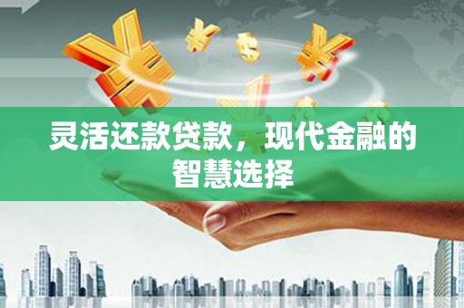 宁波灵活还款贷款，现代金融的智慧选择