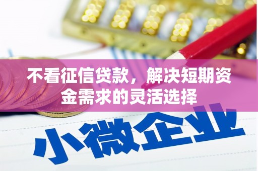 宁波不看征信贷款，解决短期资金需求的灵活选择