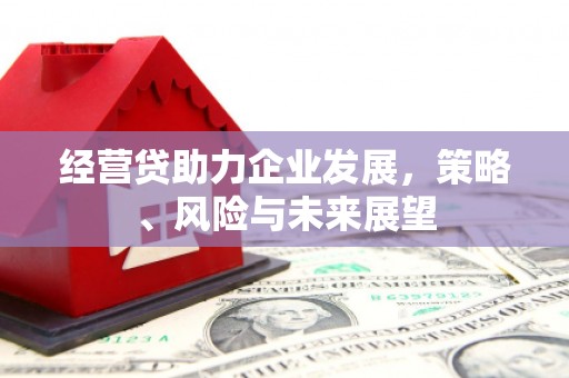 宁波经营贷助力企业发展，策略、风险与未来展望