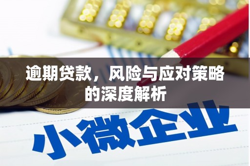 宁波逾期贷款，风险与应对策略的深度解析