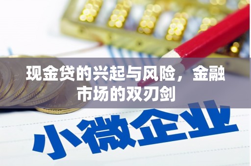 宁波现金贷的兴起与风险，金融市场的双刃剑