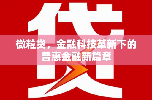 宁波微粒贷，金融科技革新下的普惠金融新篇章