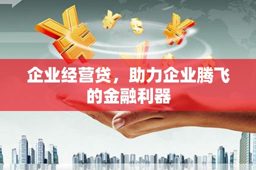 宁波企业经营贷，助力企业腾飞的金融利器
