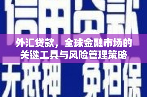 宁波外汇贷款，全球金融市场的关键工具与风险管理策略