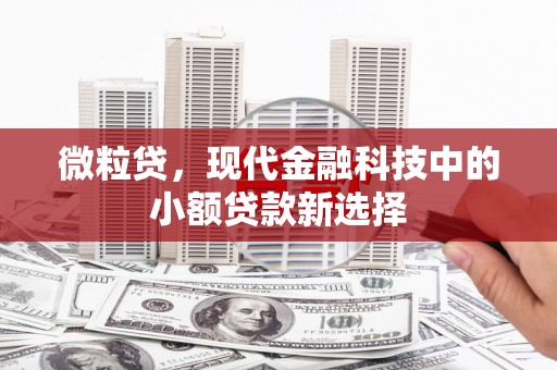 宁波微粒贷，现代金融科技中的小额贷款新选择