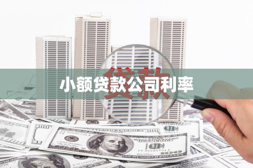 宁波小额贷款公司利率