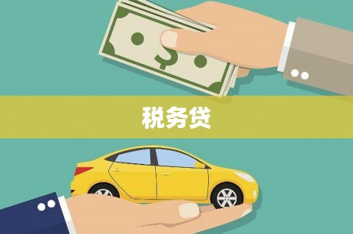 宁波税务贷