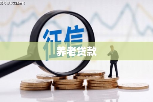 宁波养老贷款