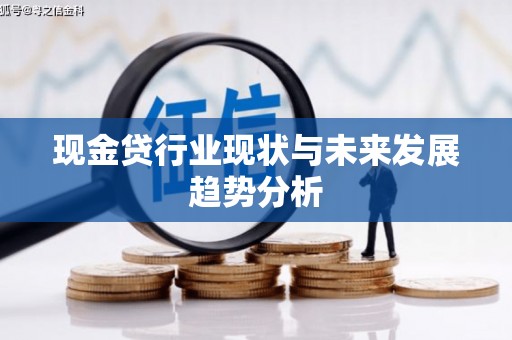 宁波现金贷行业现状与未来发展趋势分析