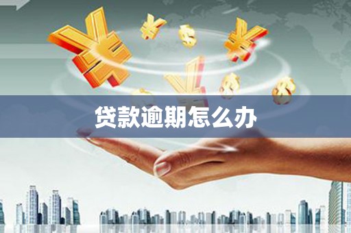 宁波贷款逾期怎么办