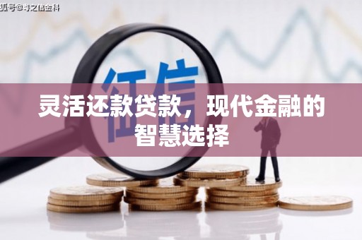 宁波灵活还款贷款，现代金融的智慧选择