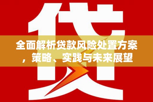 宁波全面解析贷款风险处置方案，策略、实践与未来展望