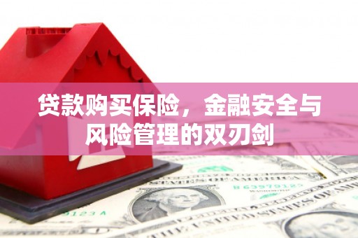 宁波贷款购买保险，金融安全与风险管理的双刃剑