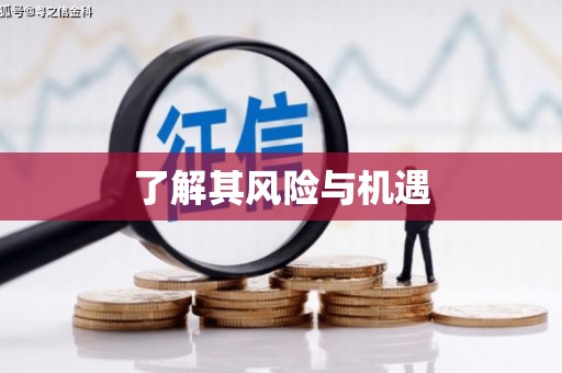宁波了解其风险与机遇