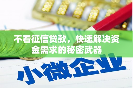 宁波不看征信贷款，快速解决资金需求的秘密武器