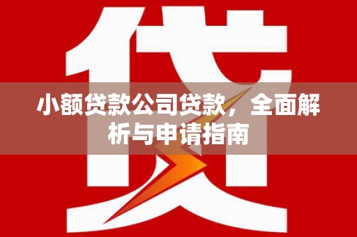 宁波小额贷款公司贷款，全面解析与申请指南