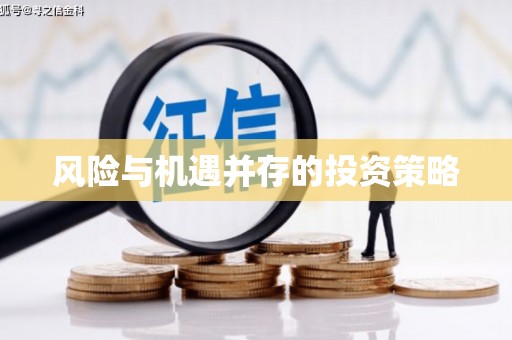 宁波风险与机遇并存的投资策略