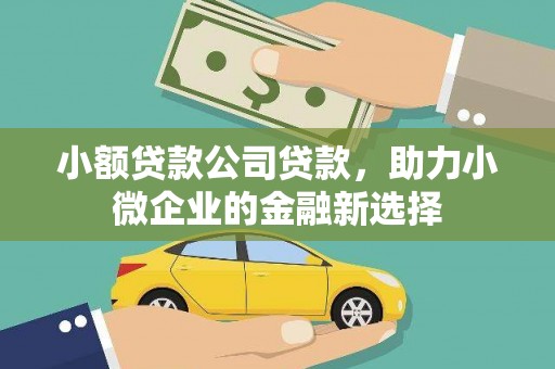宁波小额贷款公司贷款，助力小微企业的金融新选择