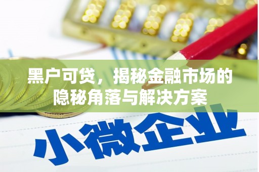 宁波黑户可贷，揭秘金融市场的隐秘角落与解决方案