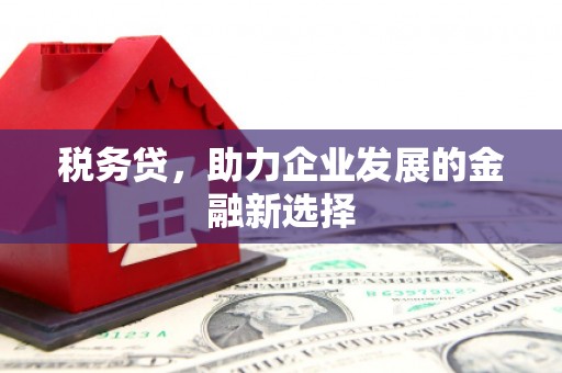 宁波税务贷，助力企业发展的金融新选择