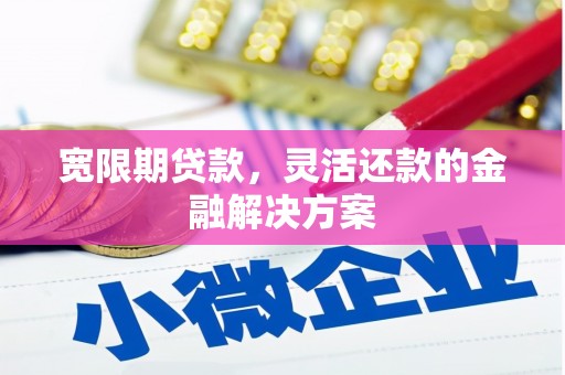 宁波宽限期贷款，灵活还款的金融解决方案