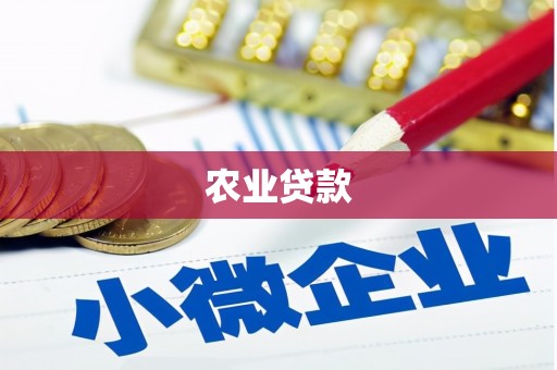 宁波农业贷款