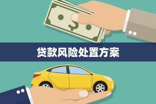 宁波贷款风险处置方案