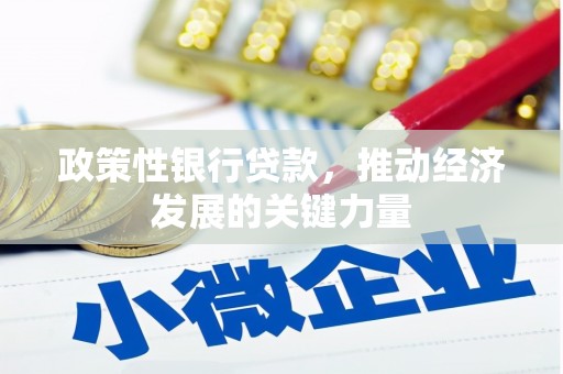 宁波政策性银行贷款，推动经济发展的关键力量