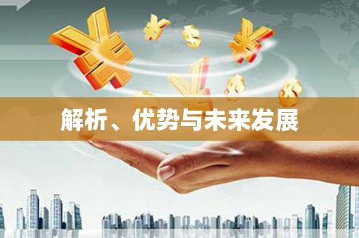 宁波解析、优势与未来发展