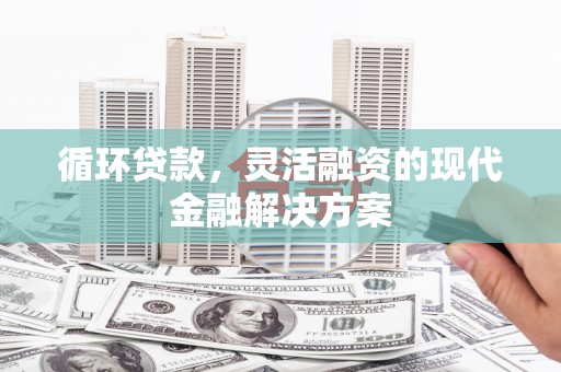 宁波循环贷款，灵活融资的现代金融解决方案