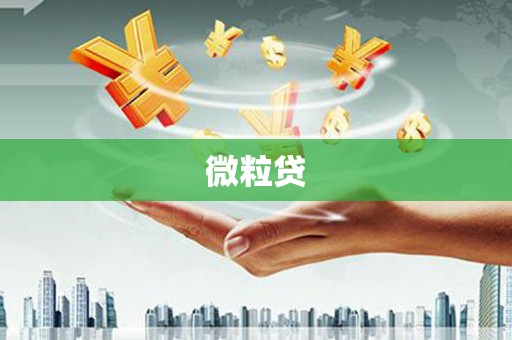 宁波微粒贷