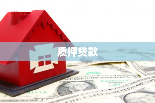宁波质押贷款