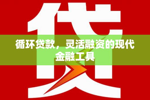 宁波循环贷款，灵活融资的现代金融工具
