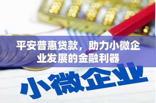 宁波平安普惠贷款，助力小微企业发展的金融利器