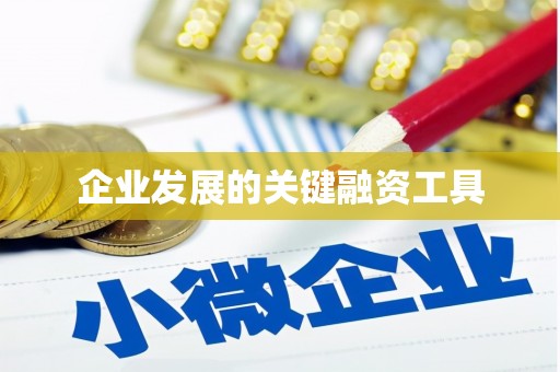 宁波企业发展的关键融资工具