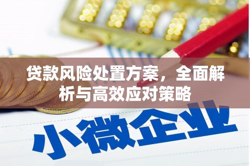 宁波贷款风险处置方案，全面解析与高效应对策略