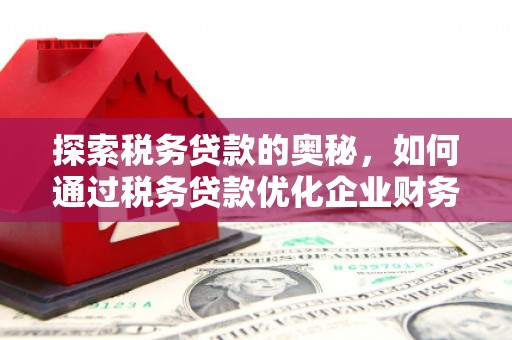 宁波探索税务贷款的奥秘，如何通过税务贷款优化企业财务