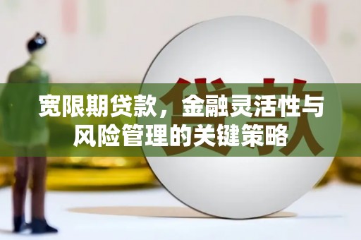 宁波宽限期贷款，金融灵活性与风险管理的关键策略