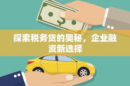 宁波探索税务贷的奥秘，企业融资新选择