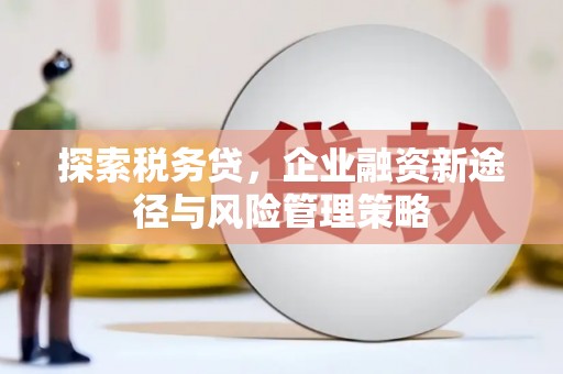 宁波探索税务贷，企业融资新途径与风险管理策略
