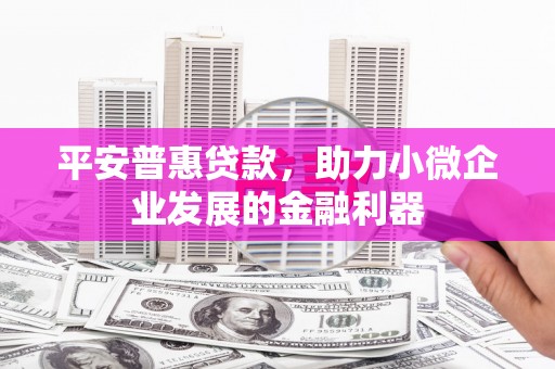 宁波平安普惠贷款，助力小微企业发展的金融利器