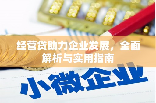 宁波经营贷助力企业发展，全面解析与实用指南