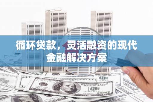 宁波循环贷款，灵活融资的现代金融解决方案