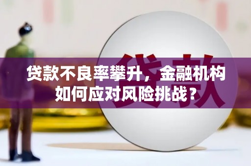宁波贷款不良率攀升，金融机构如何应对风险挑战？
